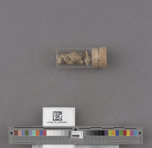 NSF ADBC EPICC TCN