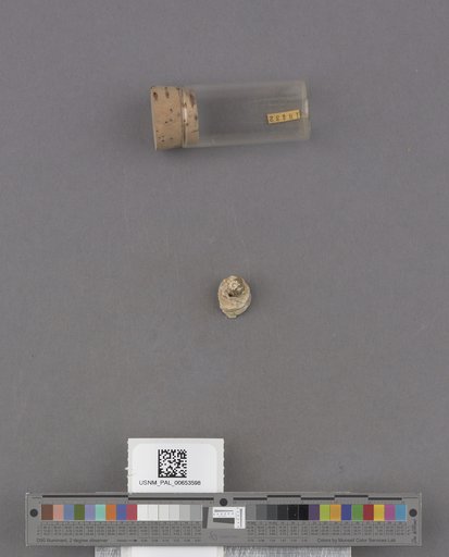 NSF ADBC EPICC TCN