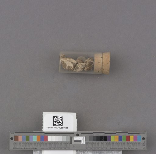 NSF ADBC EPICC TCN