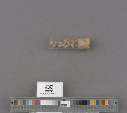 NSF ADBC EPICC TCN