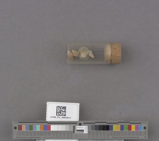 NSF ADBC EPICC TCN
