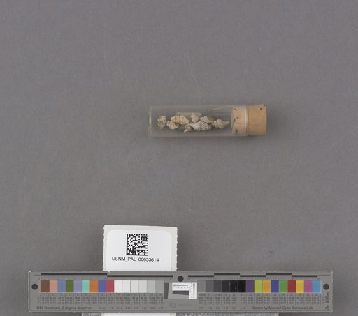 NSF ADBC EPICC TCN