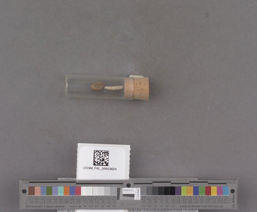 NSF ADBC EPICC TCN