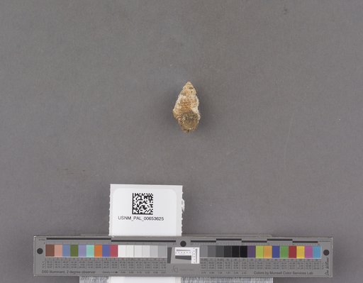 NSF ADBC EPICC TCN