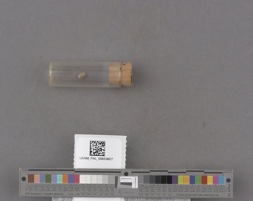 NSF ADBC EPICC TCN