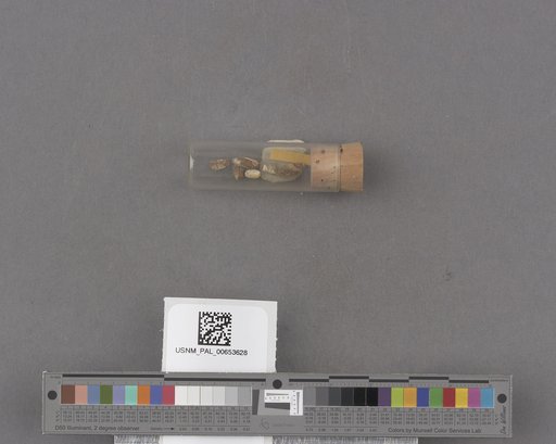 NSF ADBC EPICC TCN