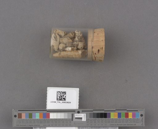 NSF ADBC EPICC TCN