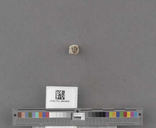 NSF ADBC EPICC TCN