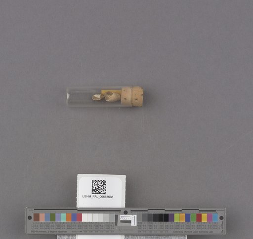 NSF ADBC EPICC TCN