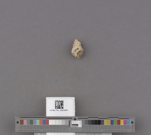 NSF ADBC EPICC TCN