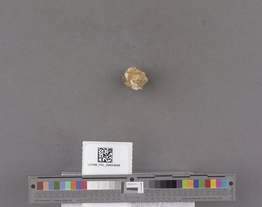 NSF ADBC EPICC TCN