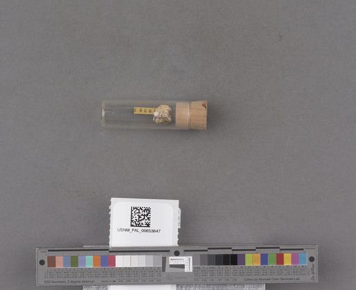 NSF ADBC EPICC TCN