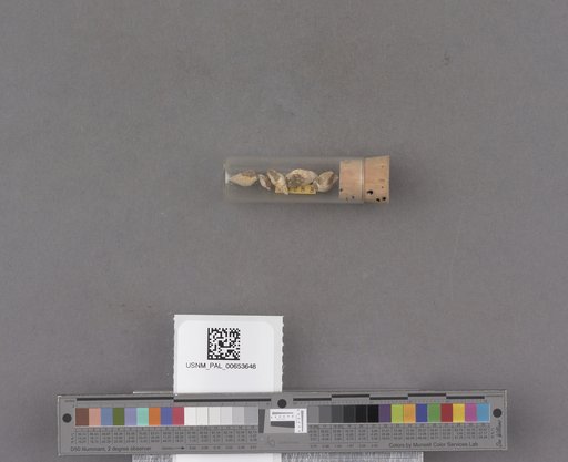NSF ADBC EPICC TCN