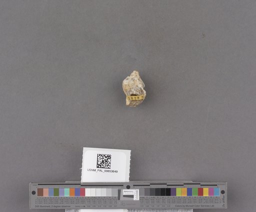 NSF ADBC EPICC TCN