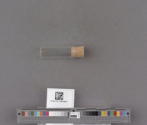 NSF ADBC EPICC TCN