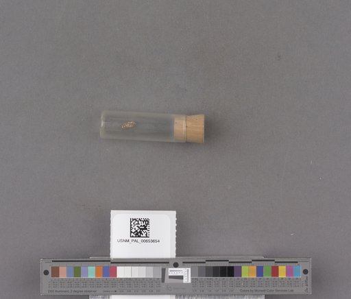 NSF ADBC EPICC TCN