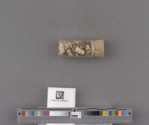 NSF ADBC EPICC TCN