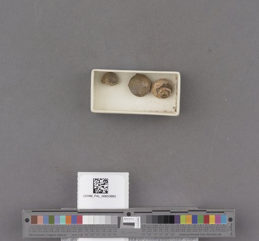 NSF ADBC EPICC TCN