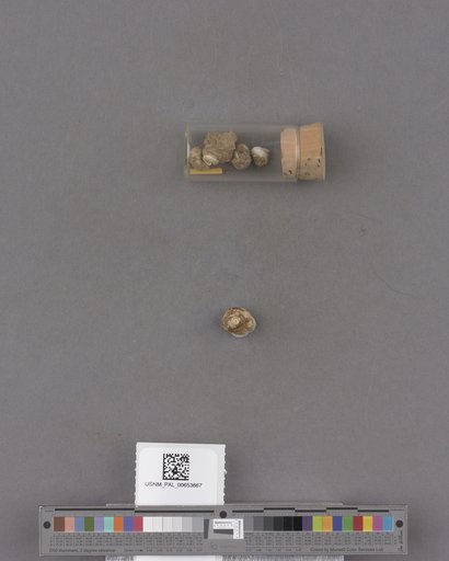 NSF ADBC EPICC TCN