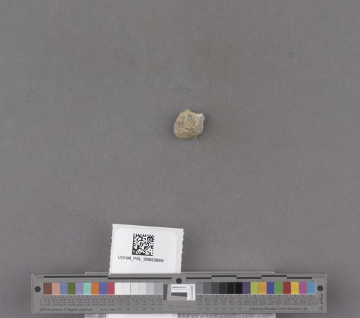 NSF ADBC EPICC TCN