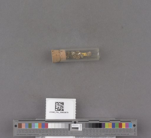 NSF ADBC EPICC TCN