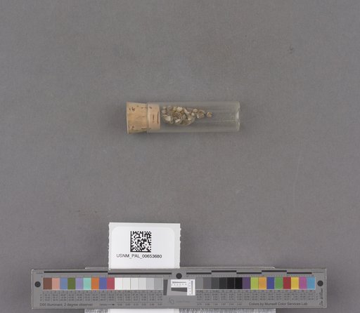 NSF ADBC EPICC TCN