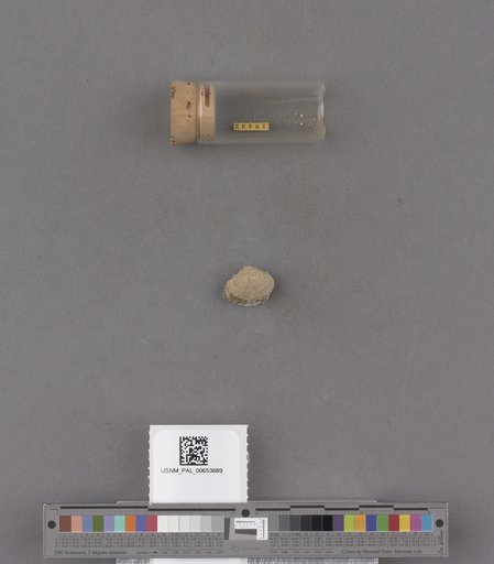 NSF ADBC EPICC TCN