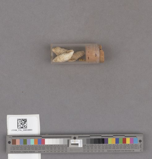 NSF ADBC EPICC TCN