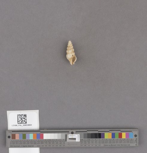NSF ADBC EPICC TCN