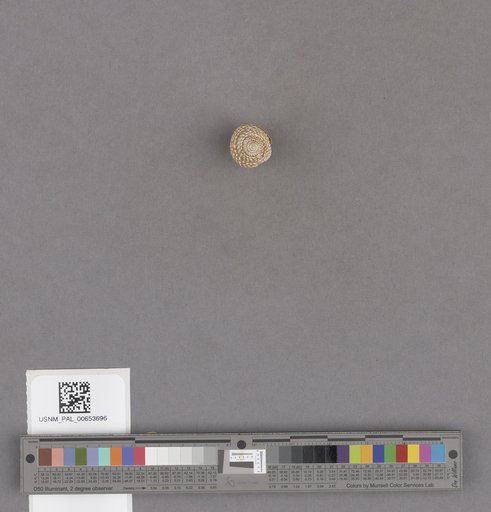 NSF ADBC EPICC TCN