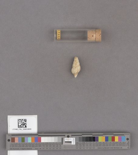 NSF ADBC EPICC TCN