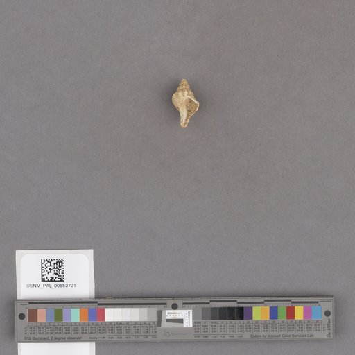 NSF ADBC EPICC TCN