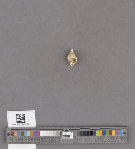NSF ADBC EPICC TCN