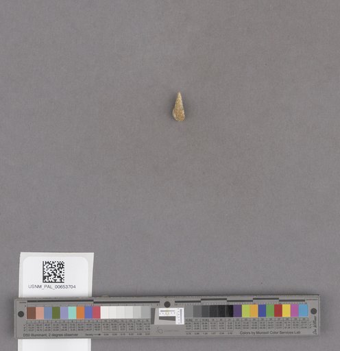 NSF ADBC EPICC TCN