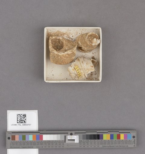 NSF ADBC EPICC TCN