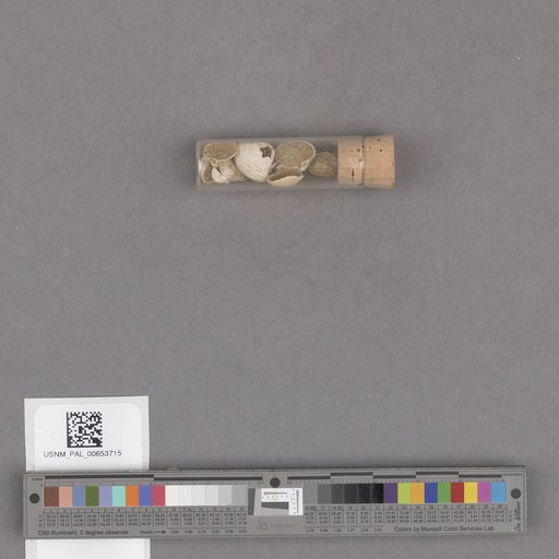 NSF ADBC EPICC TCN