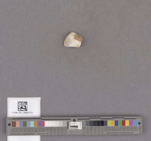 NSF ADBC EPICC TCN