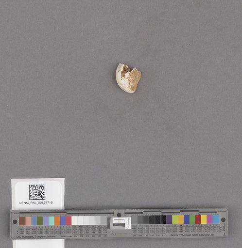 NSF ADBC EPICC TCN