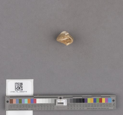 NSF ADBC EPICC TCN