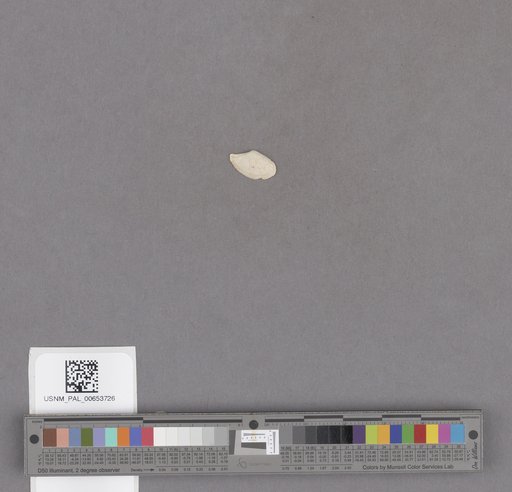 NSF ADBC EPICC TCN