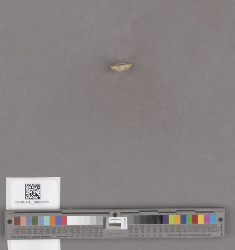 NSF ADBC EPICC TCN