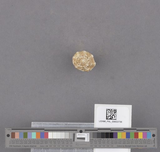 NSF ADBC EPICC TCN