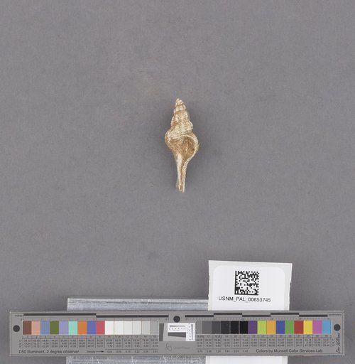 NSF ADBC EPICC TCN