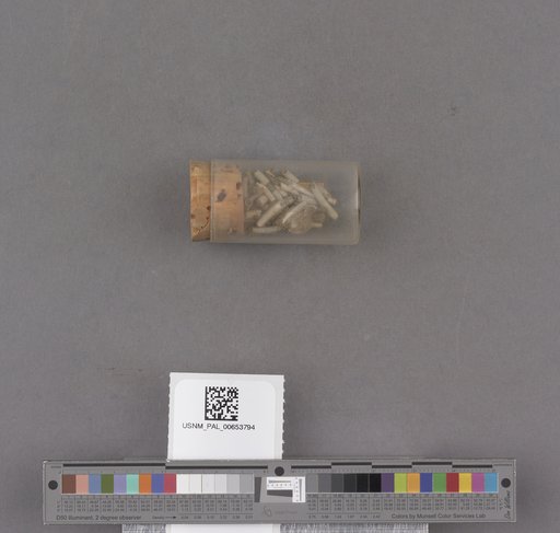 NSF ADBC EPICC TCN