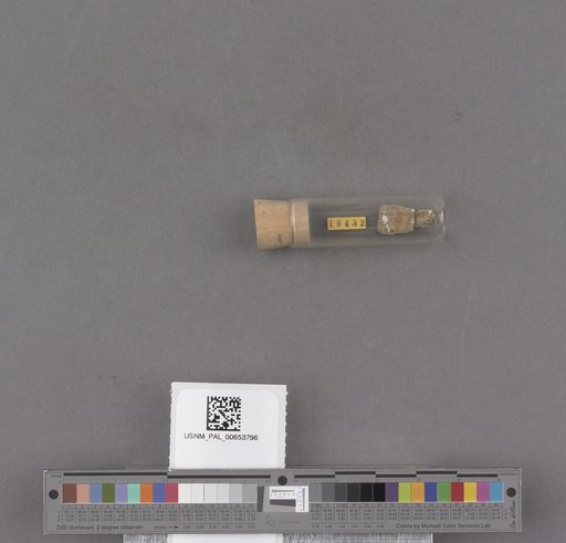 NSF ADBC EPICC TCN