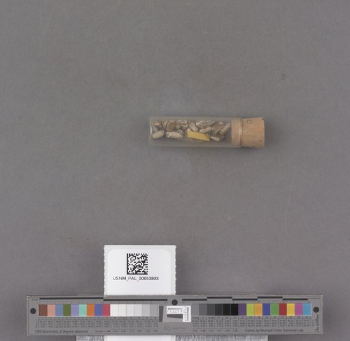 NSF ADBC EPICC TCN