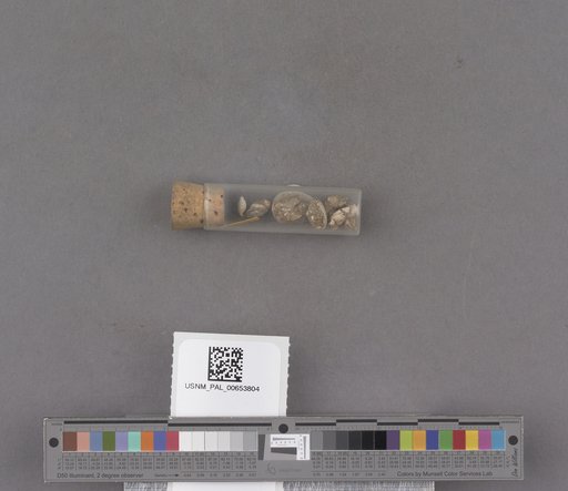 NSF ADBC EPICC TCN