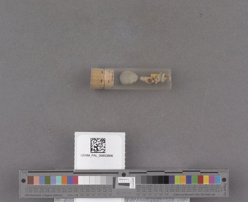 NSF ADBC EPICC TCN