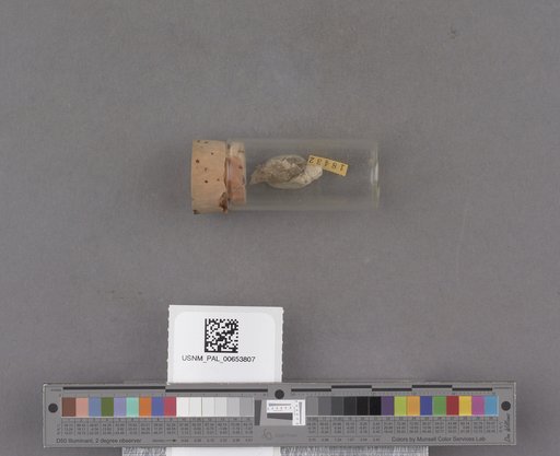 NSF ADBC EPICC TCN