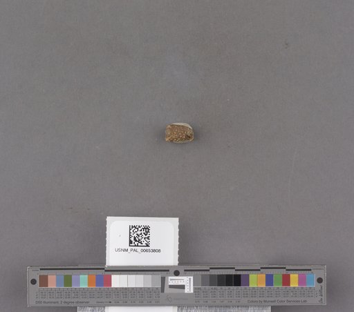 NSF ADBC EPICC TCN